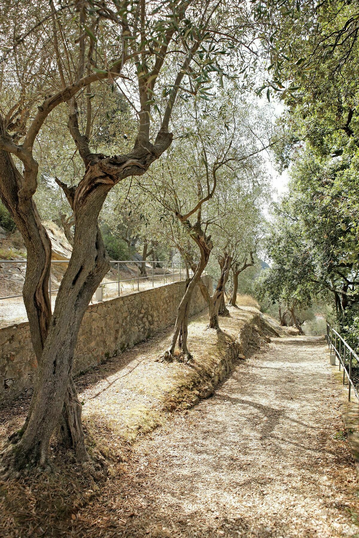 Bagni Di Pisa Palace & Thermal - The Leading Of The World 5*